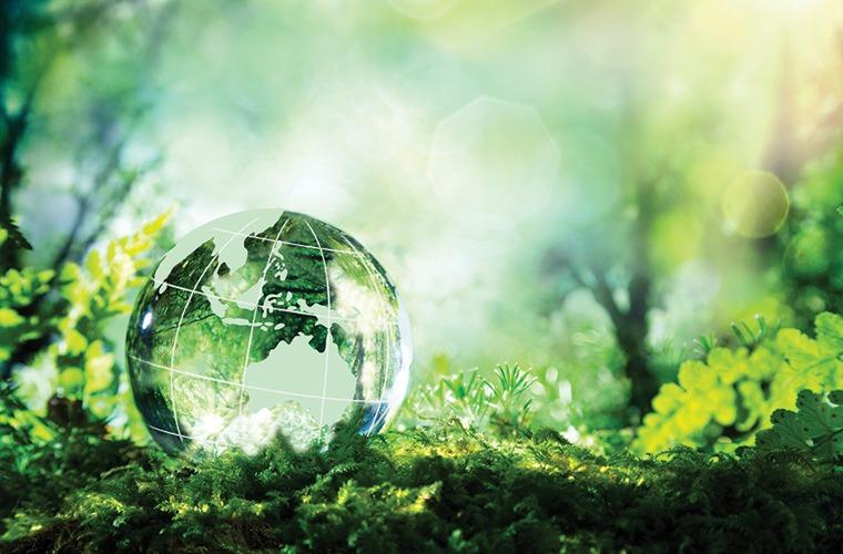 8 Conscious Living Blogs To Follow