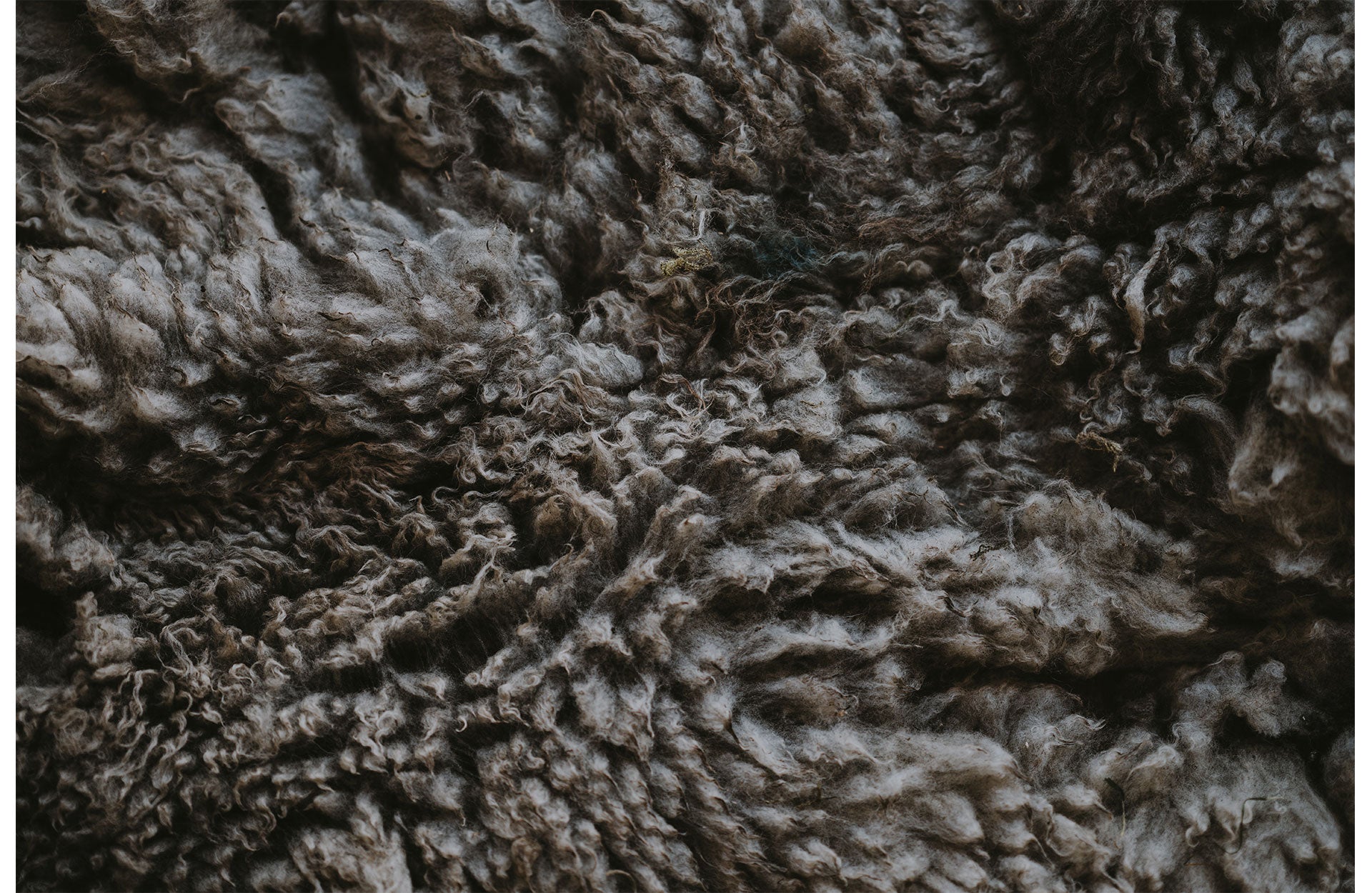 What Is Fleece And How Sustainable Is It?